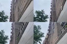 开元app-荷甲窗口期走向成谜；纽约尼克斯更衣室发声；引发热议；球探报告显示潜力(荷兰杯费耶诺德对福图纳)